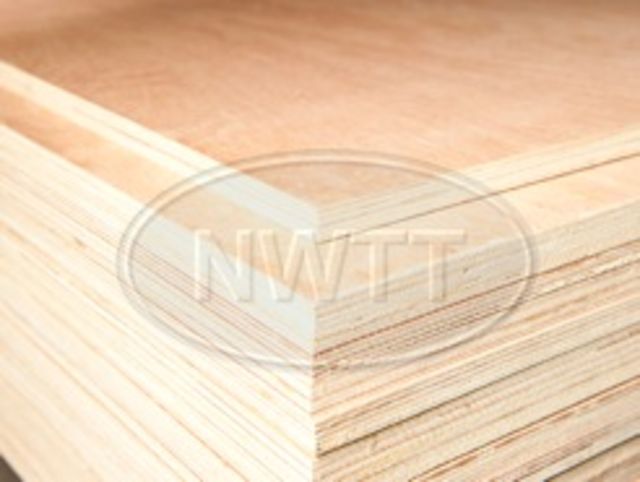 Malayan Hardwood (Throughout) Plywood